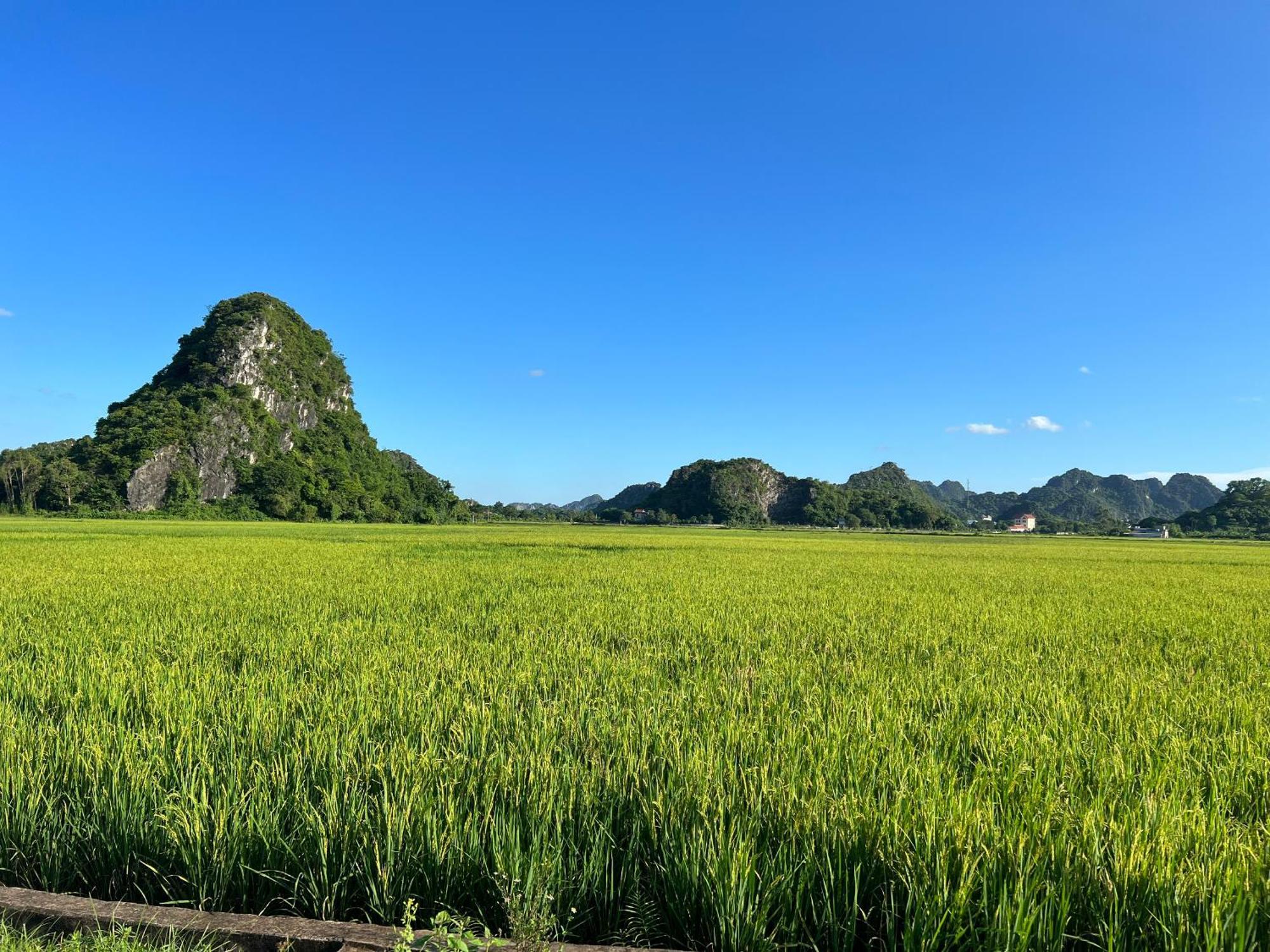 Ninh Binh Family Homestay Exterior foto
